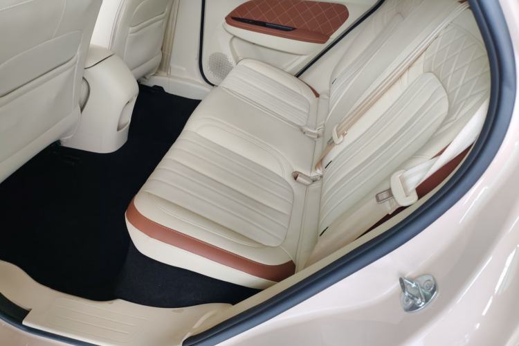 Used ORA Good Cat 2023 401 km Standard Range Luxury Version Ternary Lithium