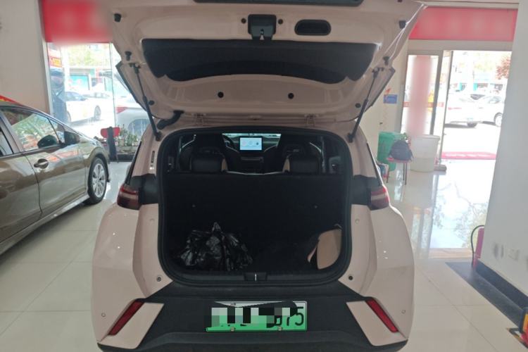 Used BYD Seagull 2024 Honor Edition 305km Dynamic Version
