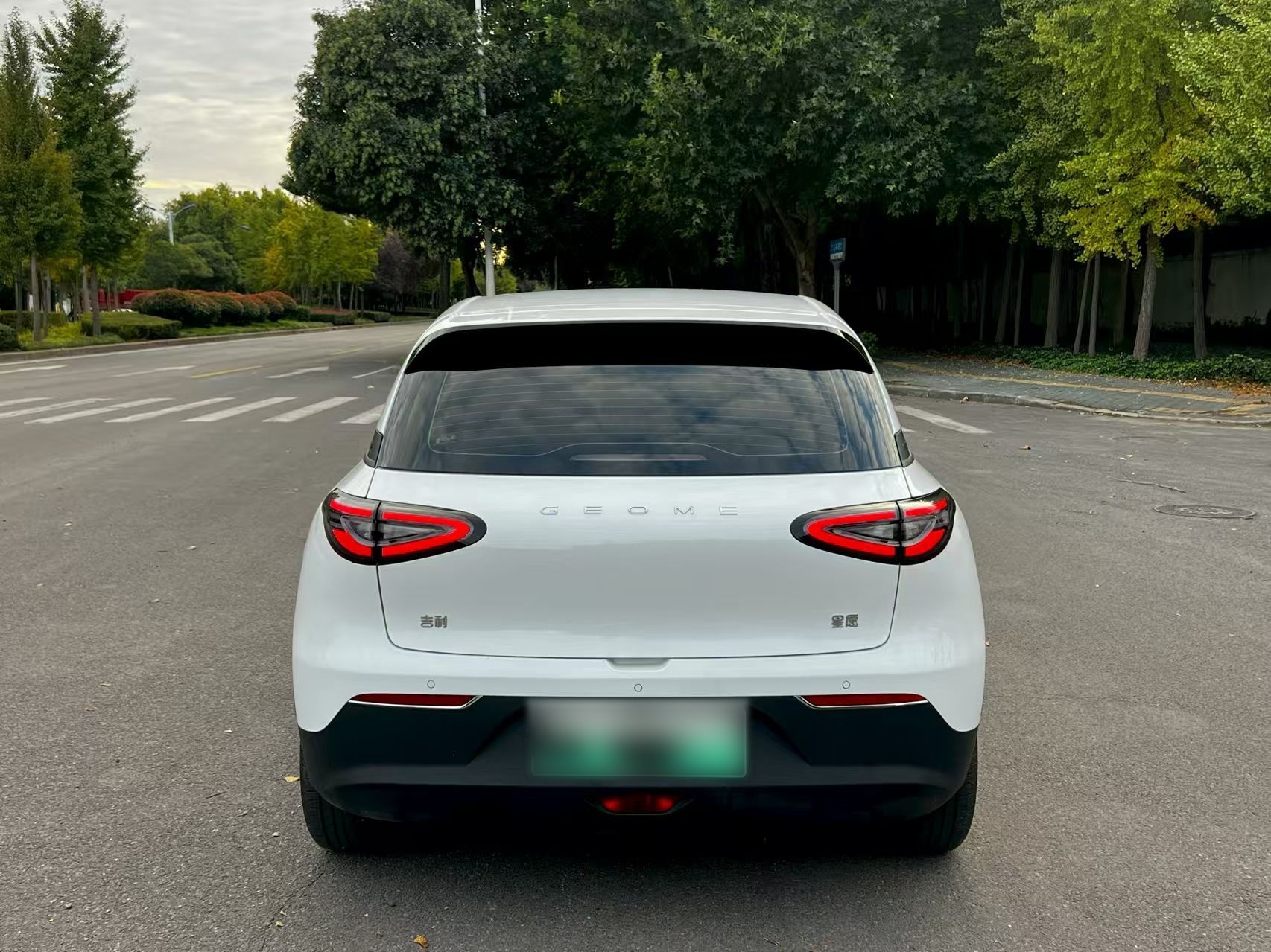 Geely Galaxy Geome 2025 310km Dream Edition — снимка 16