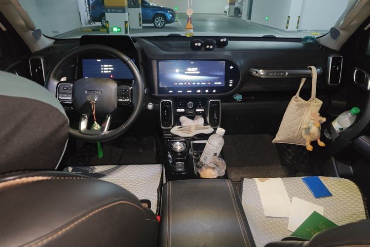 Used Haval DARGO 2021 2.0T DCT 4x4 Chinese Rural Dog Edition
