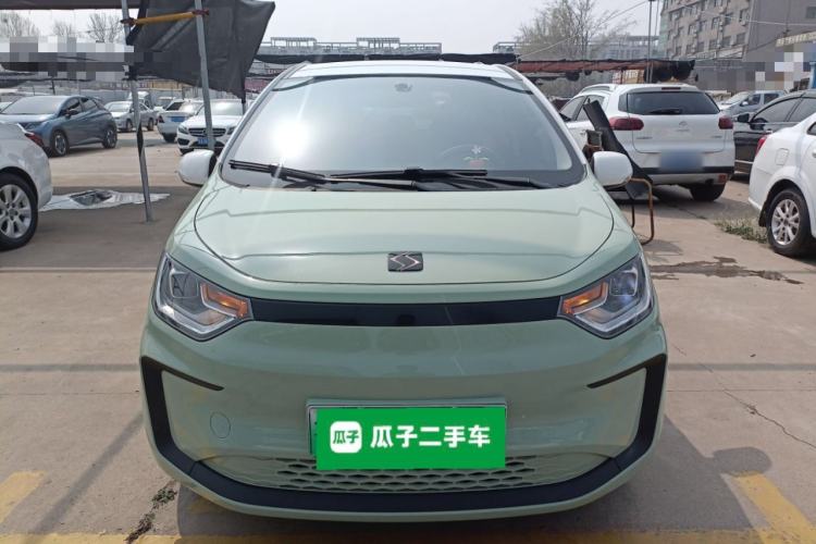 Used SOL E10X 2022 Flower Fairy Design Four-Leaf Clover