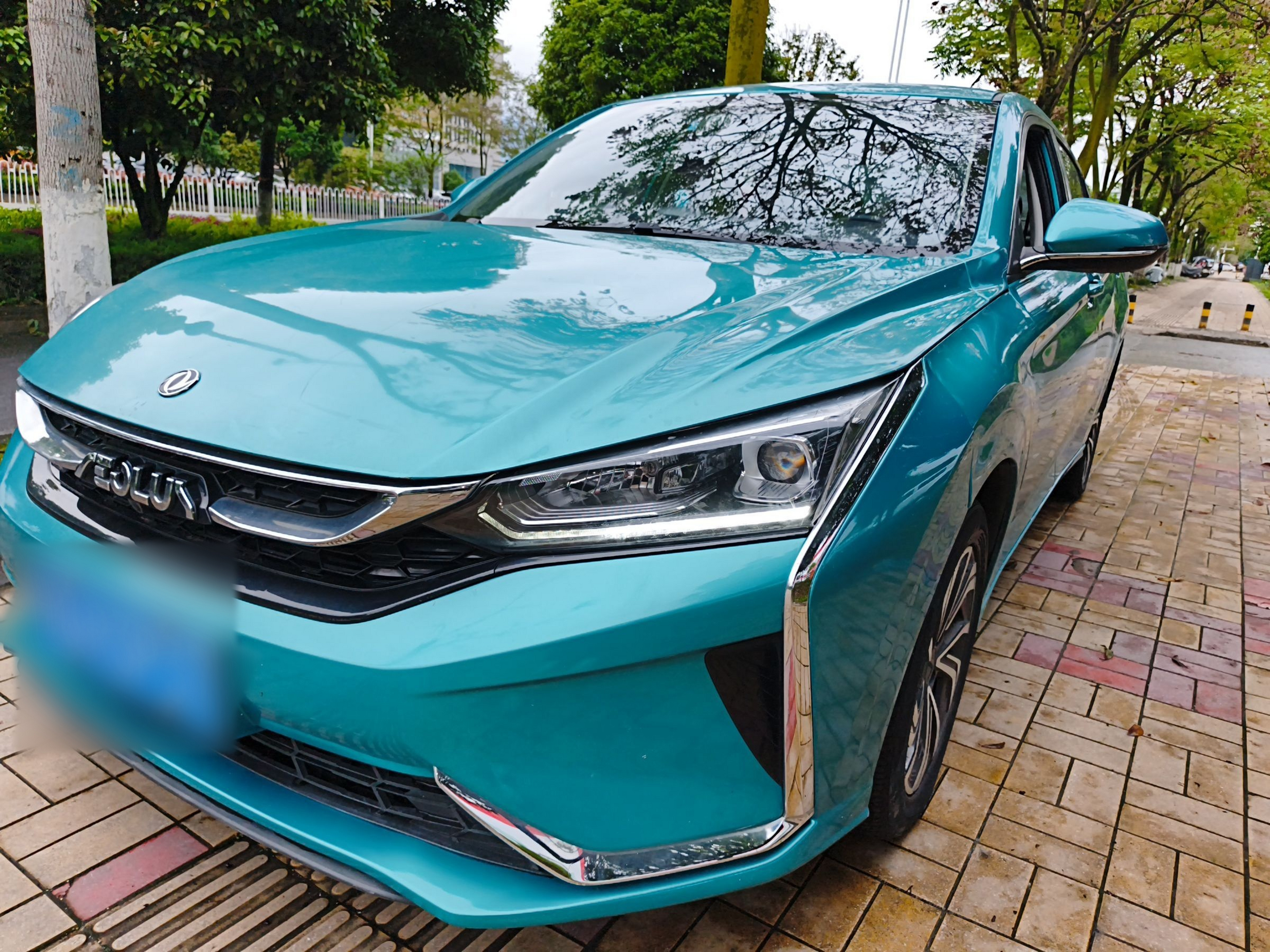 Parte inferior delantera