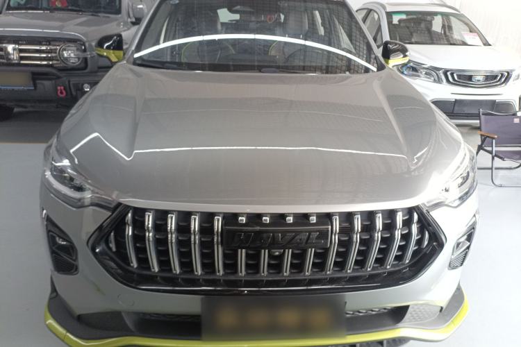 Used Haval LHERY 2021 High-Performance Version 1.5T Golden Rabbit