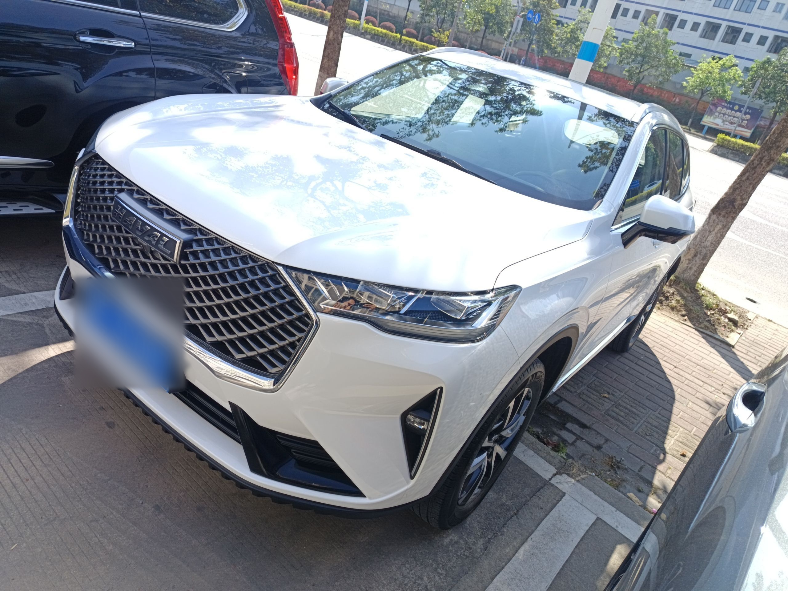 Parte inferior delantera