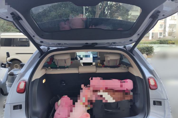 Used firefly firefly 2025 Illuminated Edition