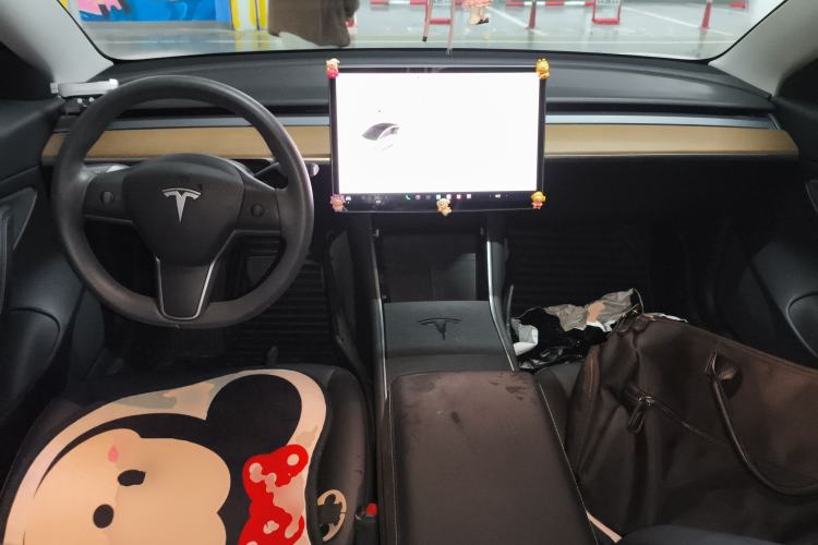 Used Tesla Model 3 2020 Revised Version Standard Range Rear-Wheel Drive – Upgraded Edition
