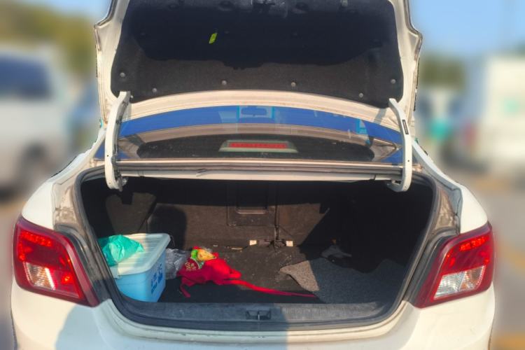 Used FORTHING S50 2018 Luxury Model
