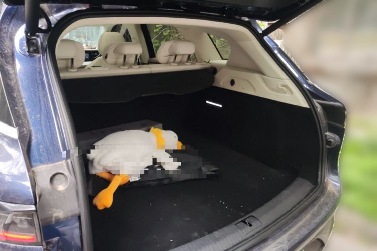 Used VOYAH FREE 2021 Two-Wheel Drive Standard Pure Electric City Edition Trunk