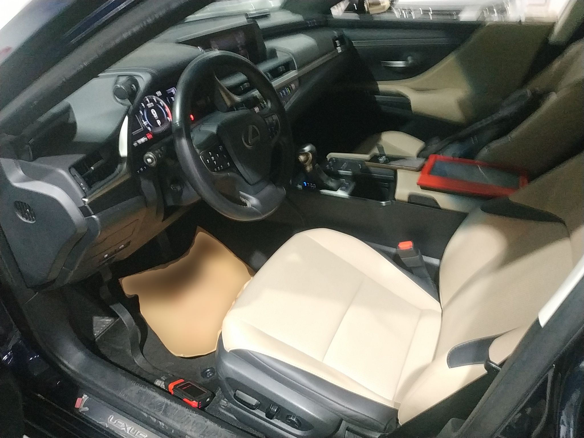 Interior delantero