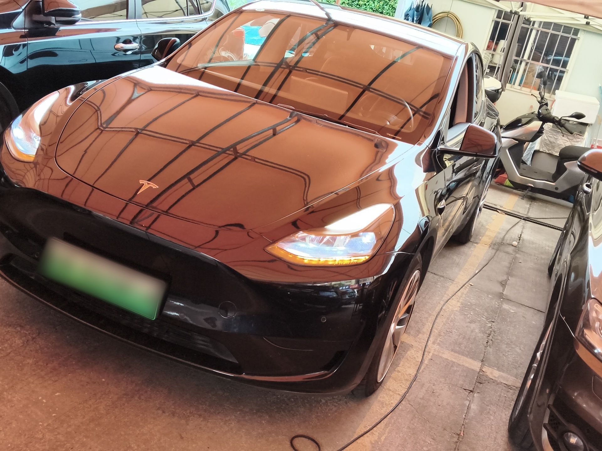 تحت مقدمة السيارة