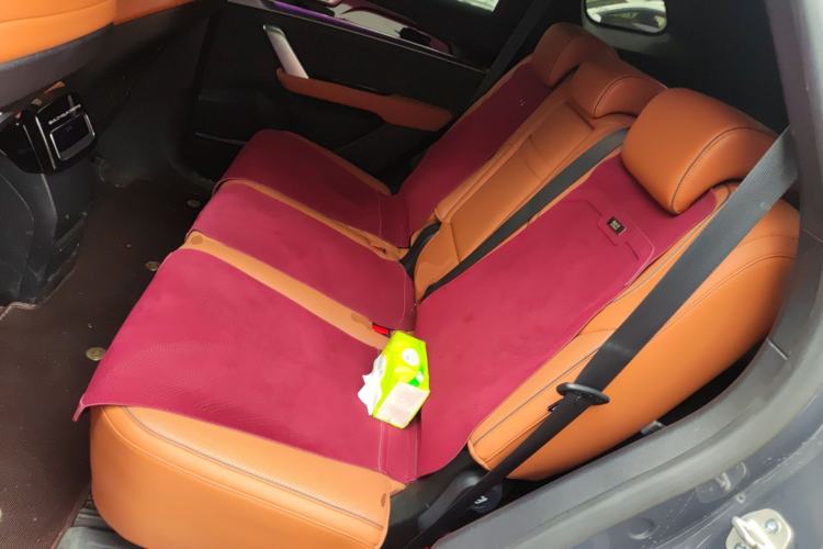 Used BYD Tang New Energy 2022 DM-p 215 km All-Wheel-Drive Deluxe Model Left Rear Seat