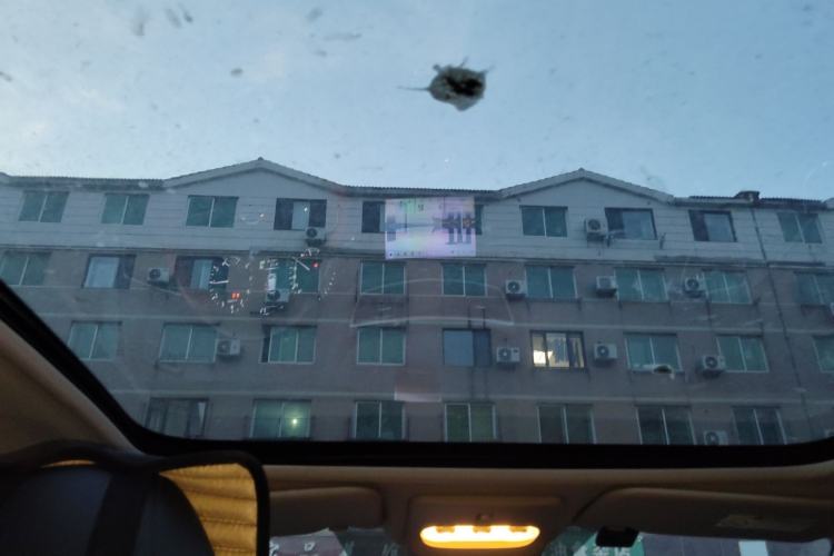 Used Nissan Qashqai 2021 2.0L CVT Luxury Edition Headliner