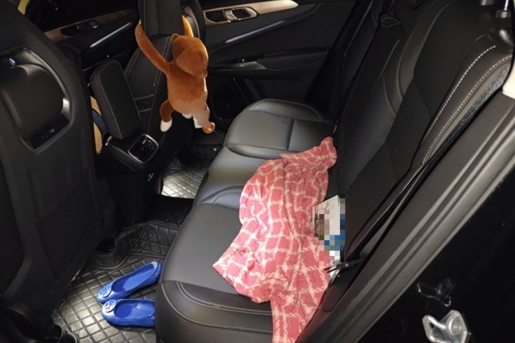 Used Lynk & Co 01 2017 2.0T Two-Wheel-Drive Version Left Rear Seat