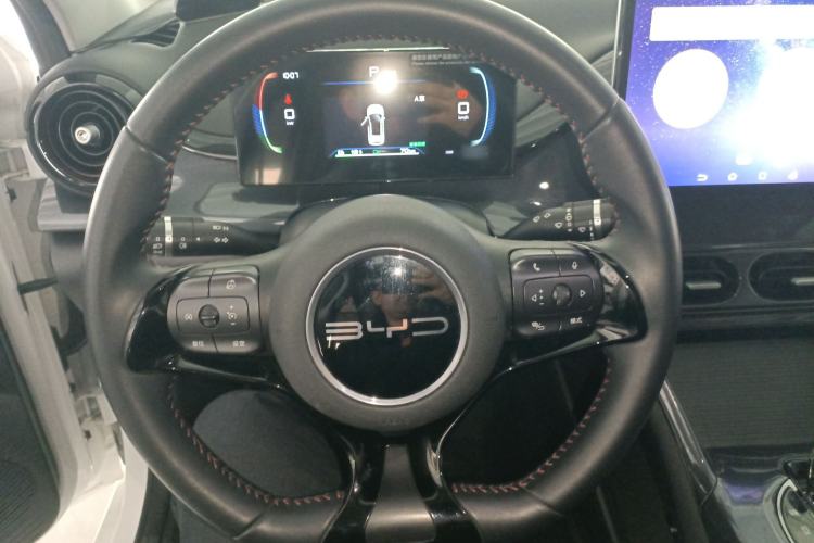 Used BYD e2 2024 Honor Edition Luxury Model
