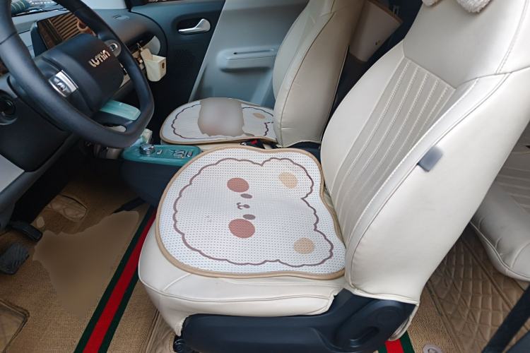 Used Qiyuan Lumin 2022 301km Honey-Sweet Version