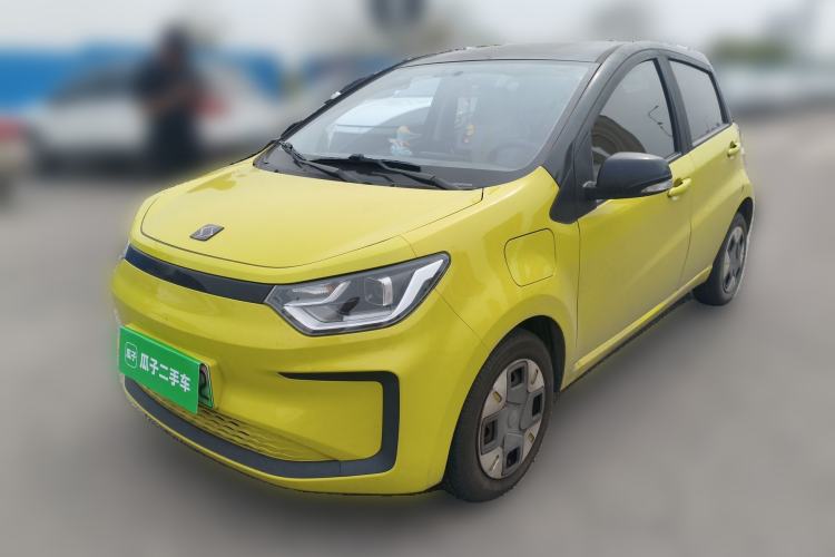 Used SOL E10X 2022 Flower Fairy Design Four-Leaf Clover