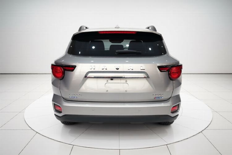 Used Haval H Dog New Energy 2023 DHT-PHEV 105km Tide Electric Version Plus