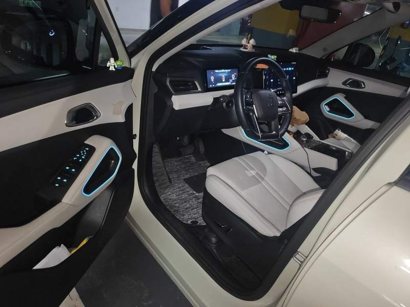 Used BYD Yuan UP 2024 401KM Beyond Edition — 12