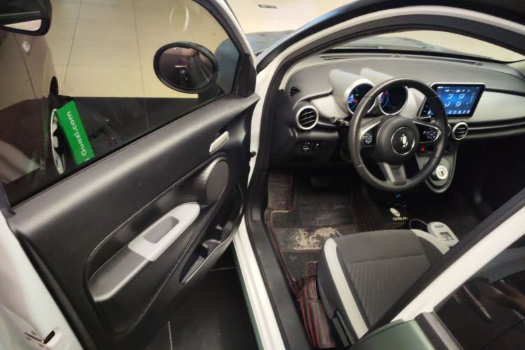 Used ORA Black Cat 2022 Updated Version 301 km Cute Pet Edition Lithium Iron Phosphate
