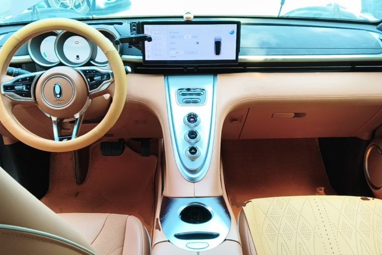 Used ORA Lightning Cat 2022 555 km Luxury Edition
