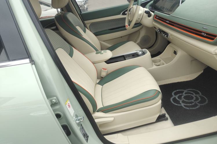 Used ORA Good Cat 2022 Morandi Edition 400km Standard Range Premium Version Lithium Iron Phosphate Right Front Seat