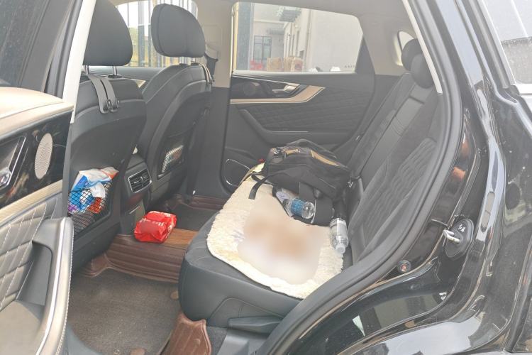 Used Hongqi HS5 2019 2.0T Smart Connect Flagship Edition Left Rear Seat