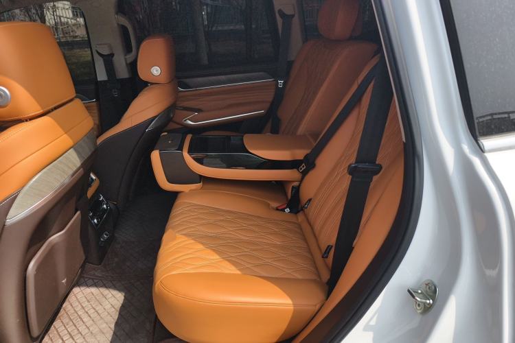 Used Tank 500 New Energy 2026 Model—Hi4-T Smart Enjoyment Version Left Rear Seat