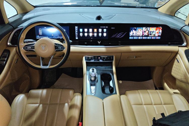 Used VOYAH Dream 2024 PHEV Extended-Range Premium Edition Center Console