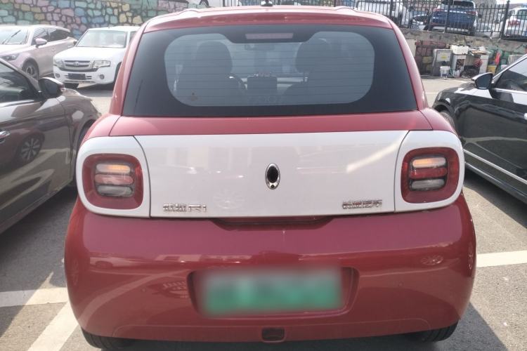 Used ORA Black Cat 2019 351 km Goddess Edition
