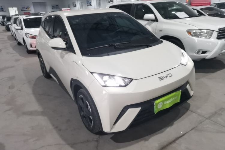 Used BYD Seagull 2024 Honor Edition 305km Freedom Version
