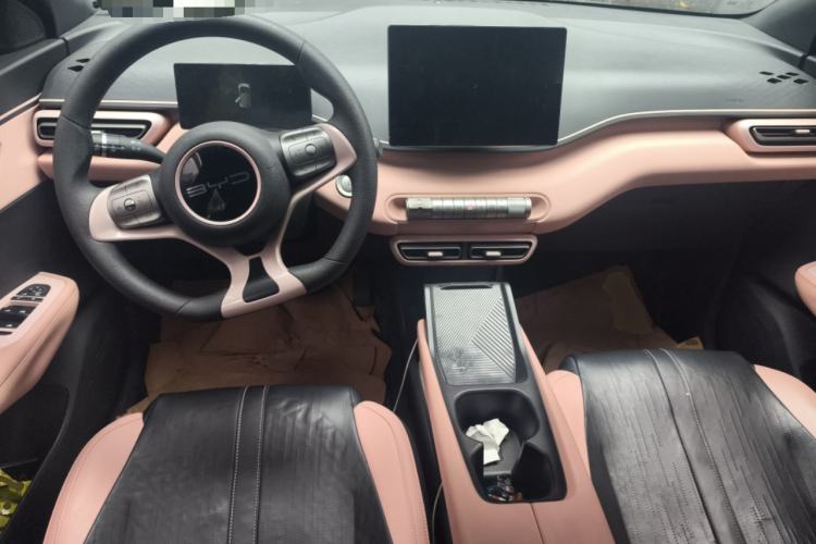 Used BYD Seagull 2023 Active Version Center Console