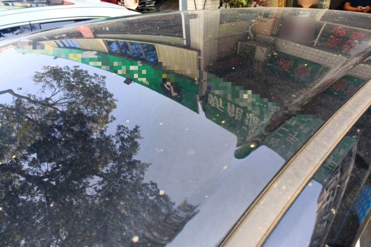 Used Wuling Bingo PLUS 2024 330 km Range Five-Seater Version
