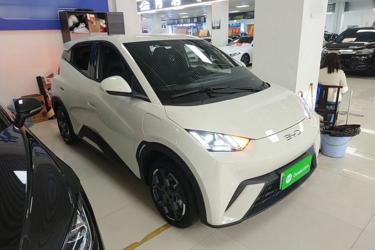 Used BYD Seagull 2025 305 km Free Version