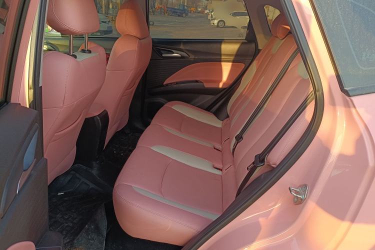 Used NETA V 2022 Chao 400 Lite Pink Custom Edition Left Rear Seat