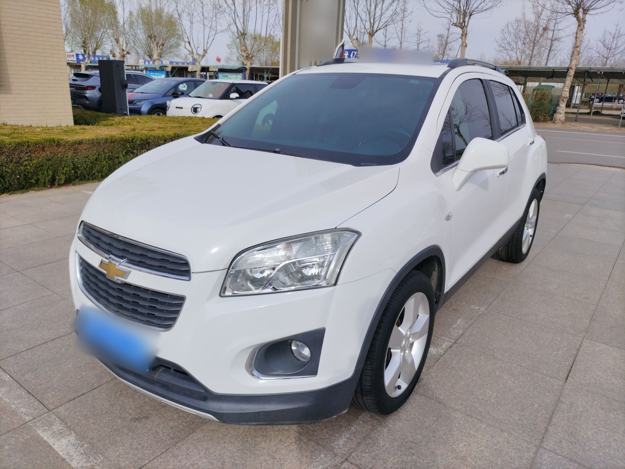 Parte inferior delantera