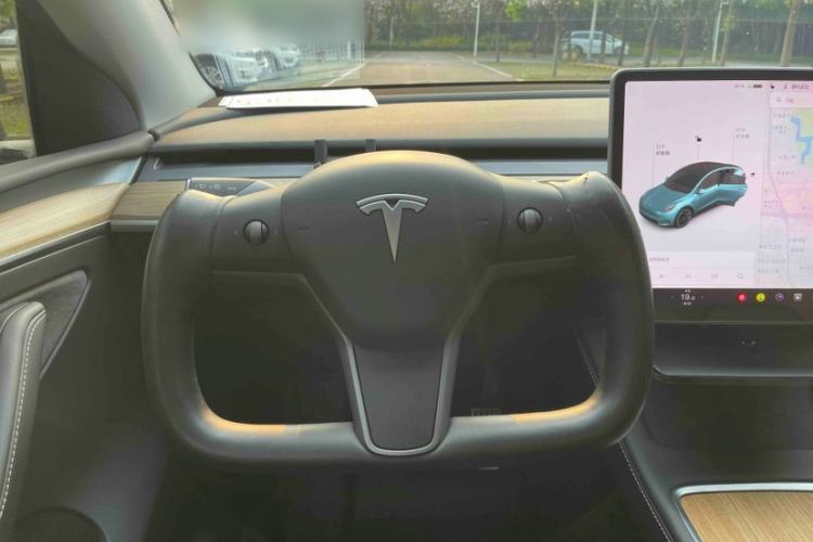 Used Tesla Model Y 2021 Standard Range Rear-Wheel Drive Version
