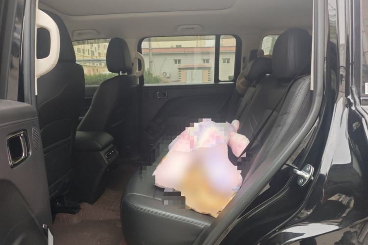 Used Haval Raptor New Energy 2024 Hi4 102 Pro Left Rear Seat