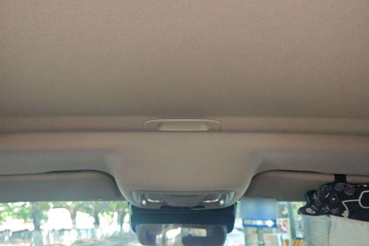 Used Tank 300 2024 2.0T Conqueror
