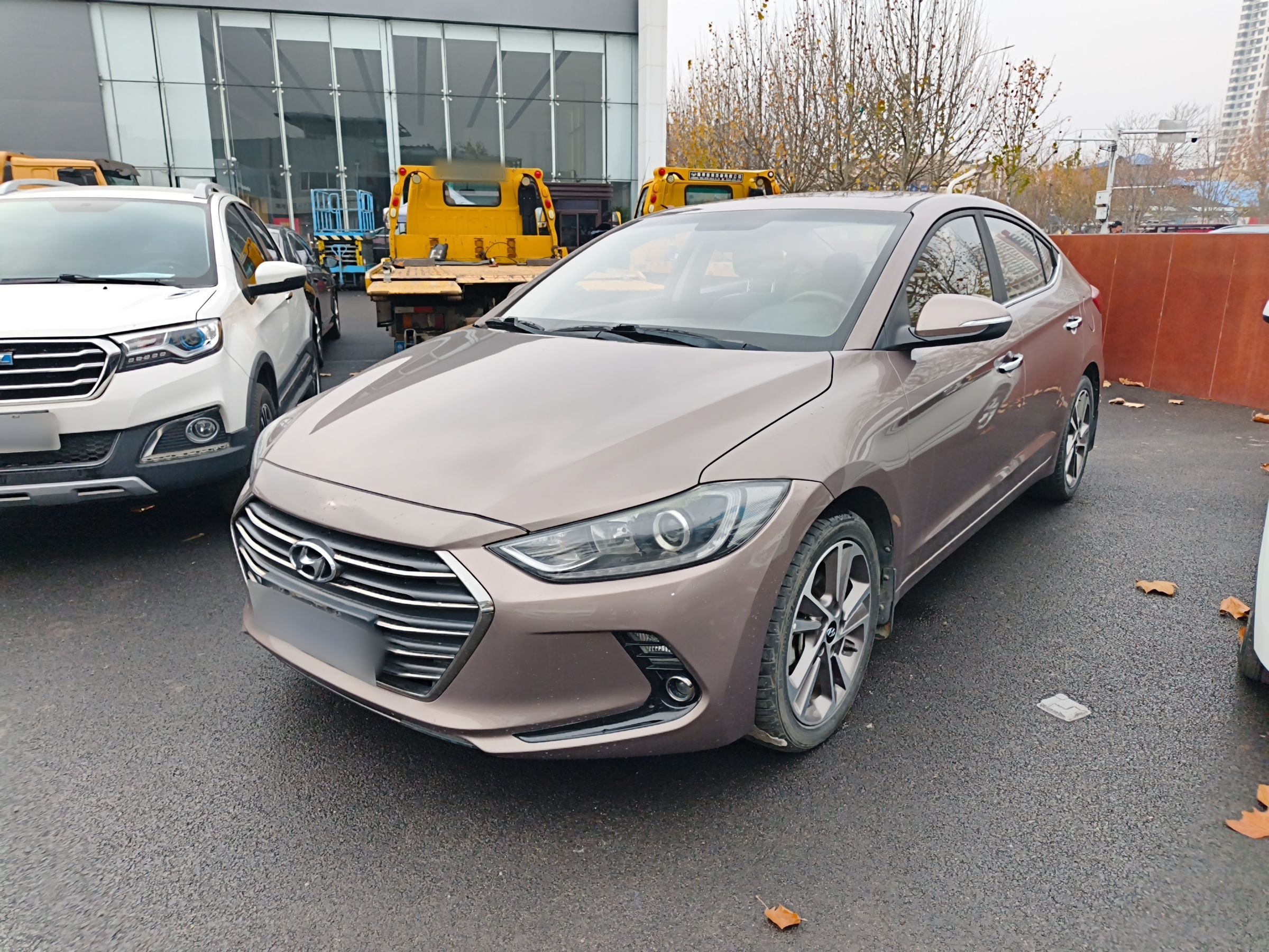 تحت مقدمة السيارة