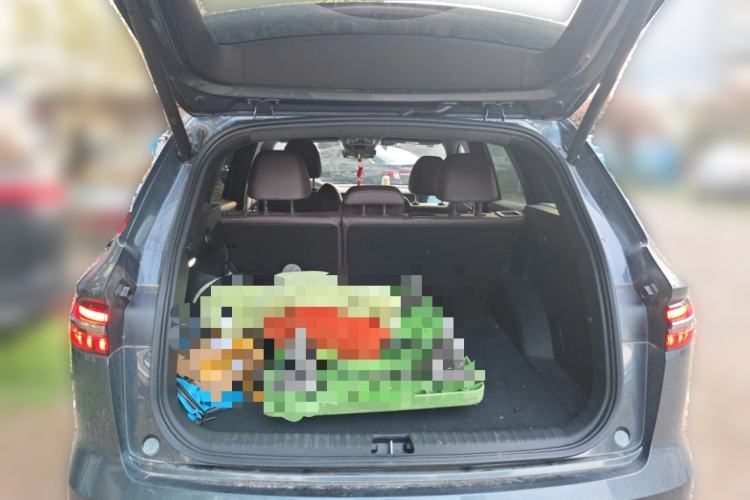 Used Geely Auto Monjaro L 2024 2.0TD High-Power Automatic Two-Wheel Drive Skyline Edition