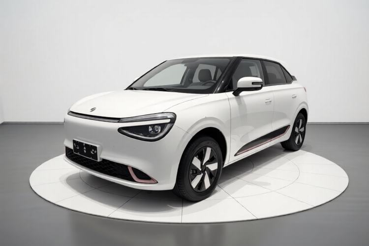 Used Dongfeng NAMMI 01 2025 330KM Youth Edition