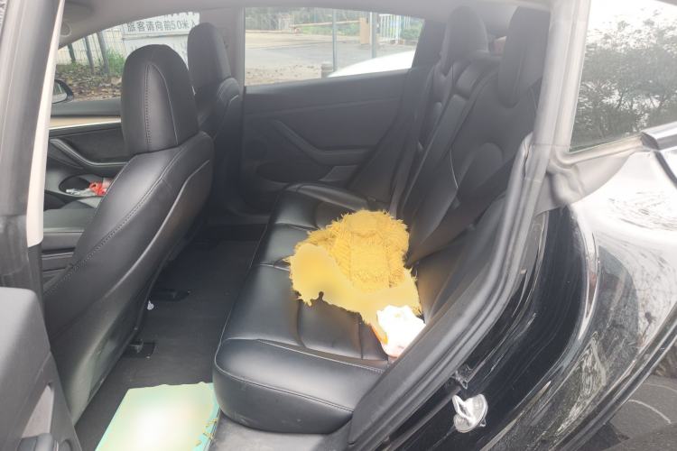 Used Tesla Model 3 2022 Rear-Wheel-Drive Version