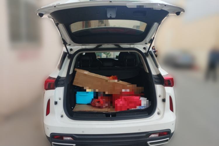 Used DORCEN G60S 2019 1.5T Automatic Luxury Version China VI Standard Trunk