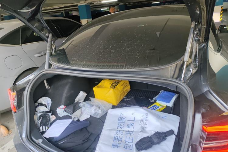 Used Tesla Model 3 2021 Revised Version II – Performance High-Performance All-Wheel-Drive Edition