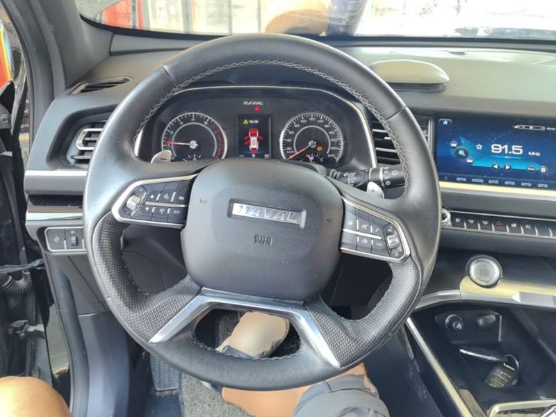 Used Haval H6 2017 Red Label 2.0T Automatic Two-Wheel Drive ZhiShang Model — 10
