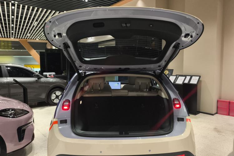 Used firefly 2025 Illuminated Edition
