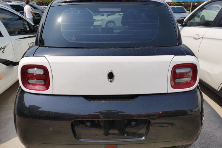 Used ORA Black Cat 2021 301km Cute Pet Edition Rear