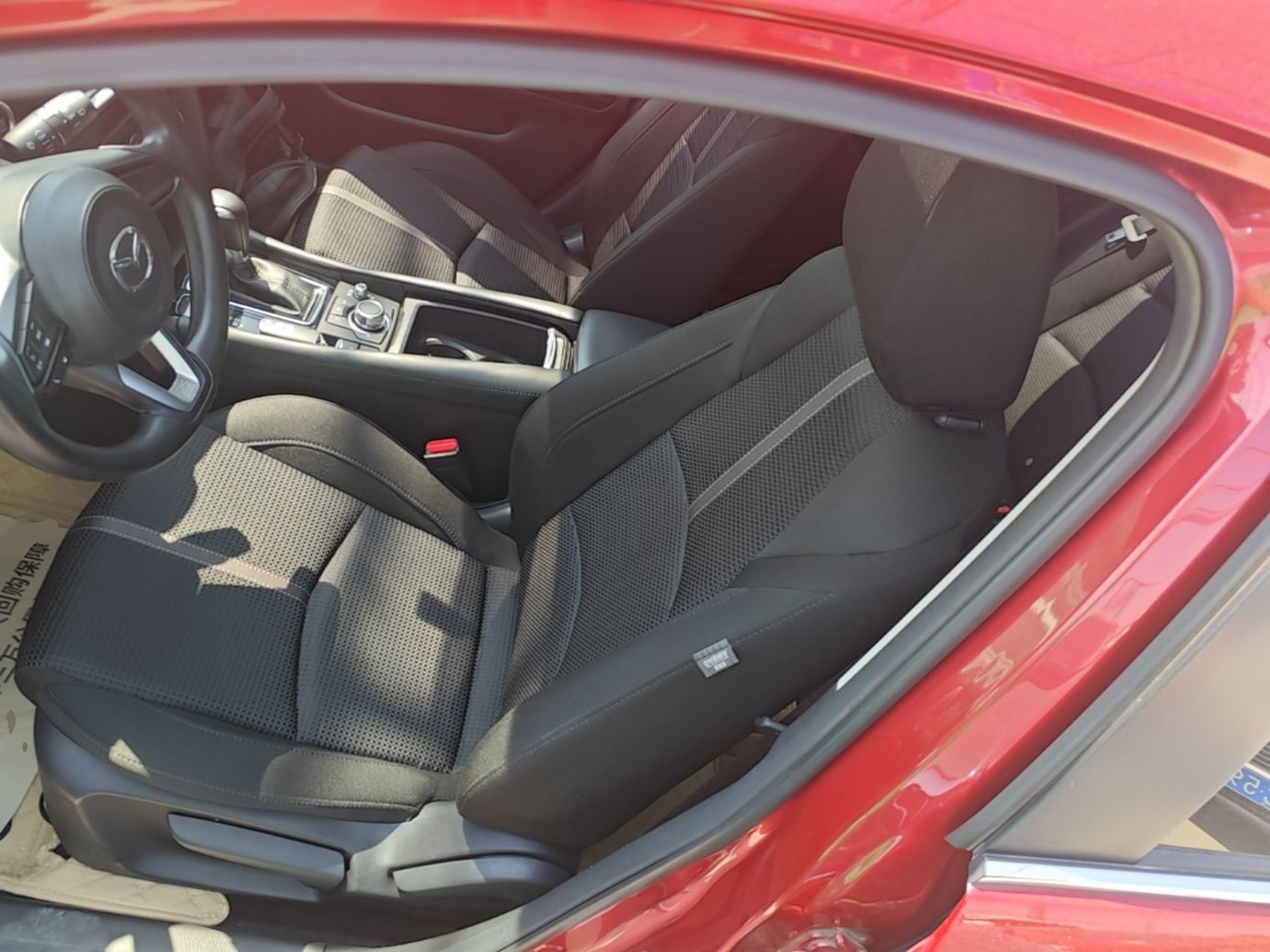 Interior delantero