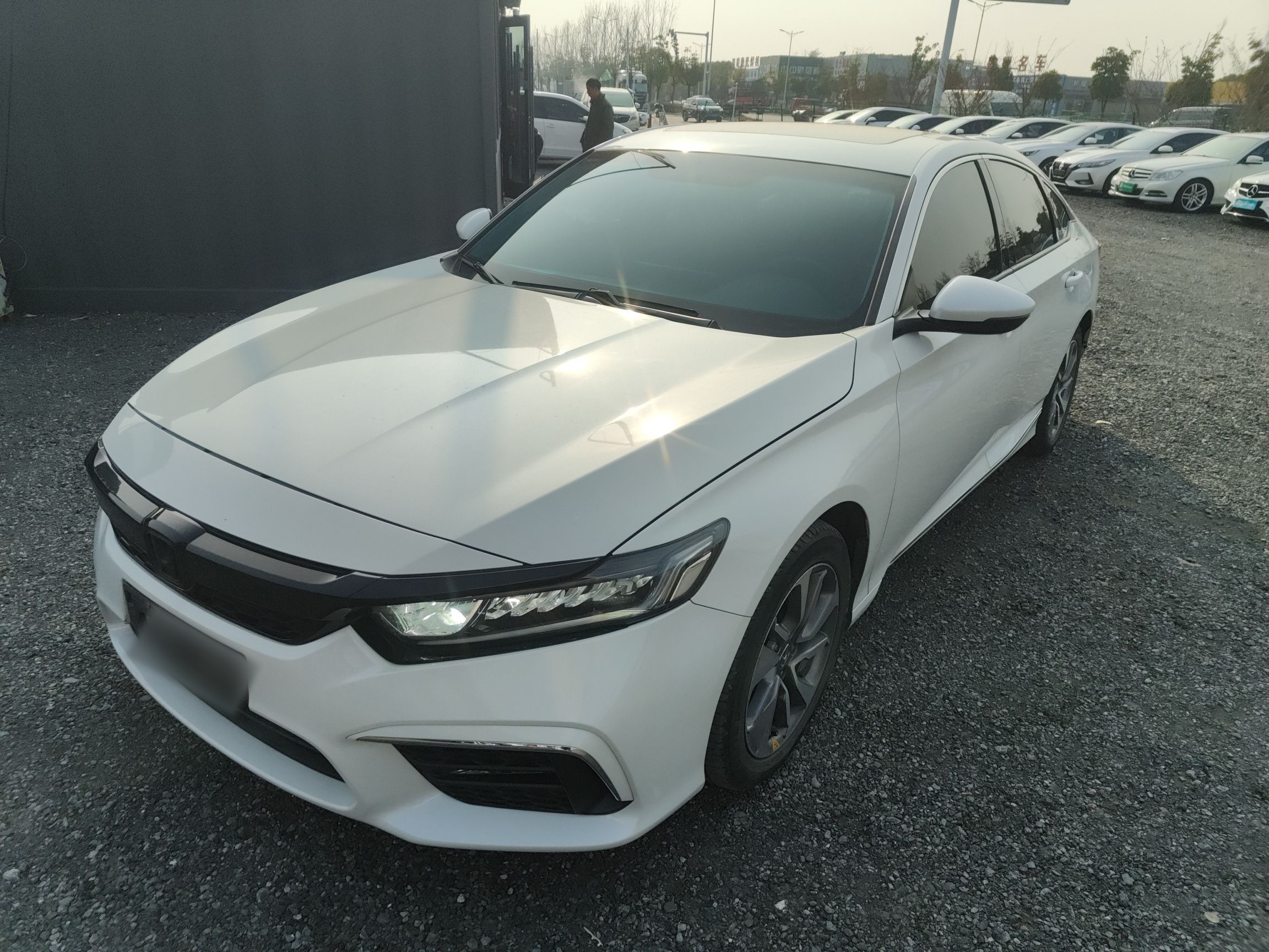 Parte inferior delantera