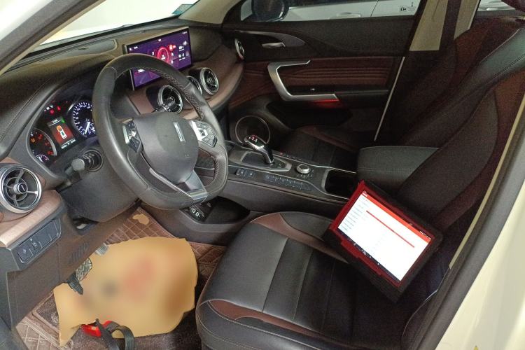 Used Wey VV5 2020 1.5T Two-Wheel Drive Color Pioneer
